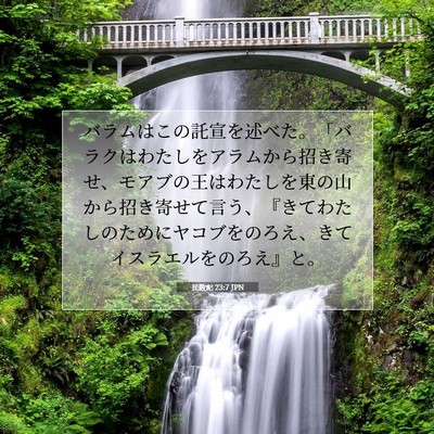 Picture 07 - 民数記 23:7 JPN - バラムはこの託宣を述べた。「バラ - Bible Verse Picture
