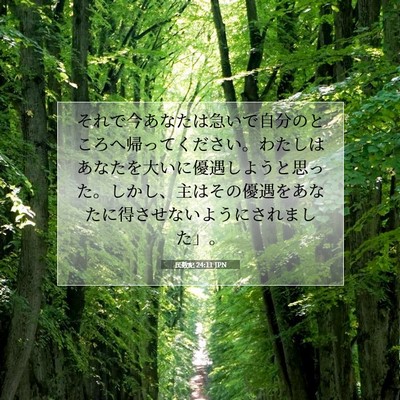 Picture 07 - 民数記 24:11 JPN - それで今あなたは急いで自分のとこ - Bible Verse Picture