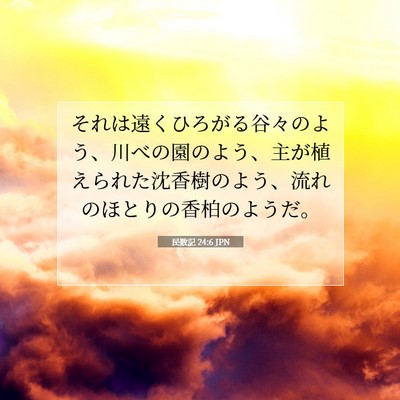 Picture 07 - 民数記 24:6 JPN - それは遠くひろがる谷々のよう、川 - Bible Verse Picture