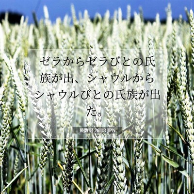 Picture 07 - 民数記 26:13 JPN - ゼラからゼラびとの氏族が出、シャ - Bible Verse Picture