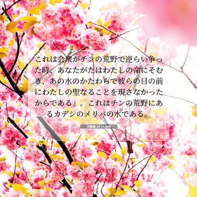 Picture 07 - 民数記 27:14 JPN - これは会衆がチンの荒野で逆らい争 - Bible Verse Picture