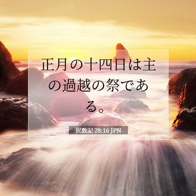 Picture 07 - 民数記 28:16 JPN - 正月の十四日は主の過越の祭である - Bible Verse Picture