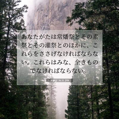 Picture 07 - 民数記 28:31 JPN - あなたがたは常燔祭とその素祭とそ - Bible Verse Picture