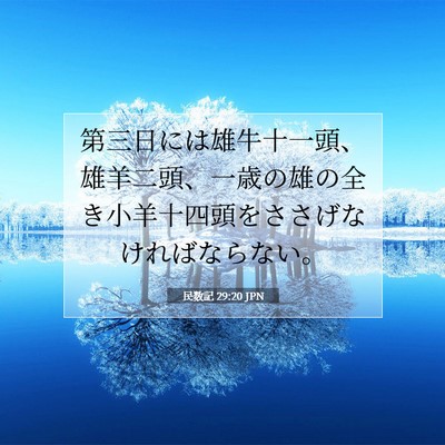 Picture 07 - 民数記 29:20 JPN - 第三日には雄牛十一頭、雄羊二頭、 - Bible Verse Picture