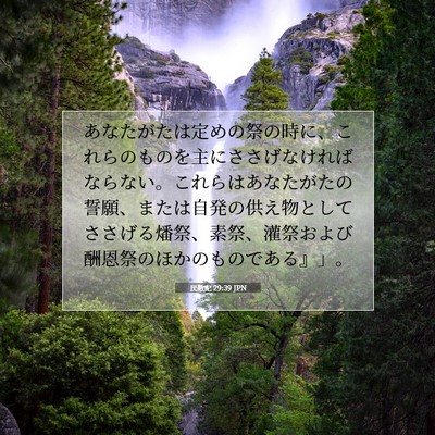 Picture 07 - 民数記 29:39 JPN - あなたがたは定めの祭の時に、これ - Bible Verse Picture