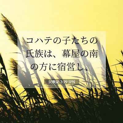 Picture 07 - 民数記 3:29 JPN - コハテの子たちの氏族は、幕屋の南 - Bible Verse Picture