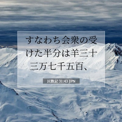 Picture 07 - 民数記 31:43 JPN - すなわち会衆の受けた半分は羊三十 - Bible Verse Picture