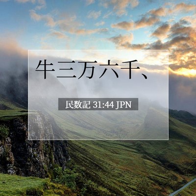 Picture 07 - 民数記 31:44 JPN - 牛三万六千、 - Bible Verse Picture
