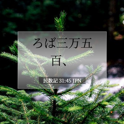 Picture 07 - 民数記 31:45 JPN - ろば三万五百、 - Bible Verse Picture