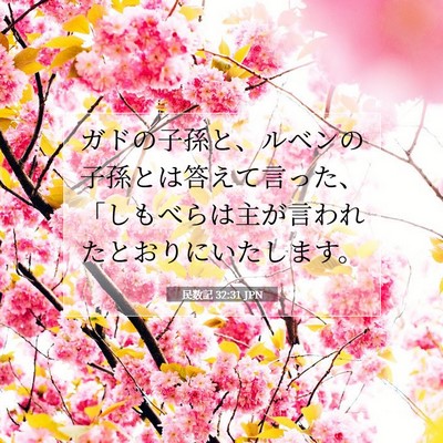 Picture 07 - 民数記 32:31 JPN - ガドの子孫と、ルベンの子孫とは答 - Bible Verse Picture