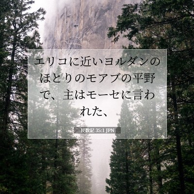 Picture 07 - 民数記 35:1 JPN - エリコに近いヨルダンのほとりのモ - Bible Verse Picture