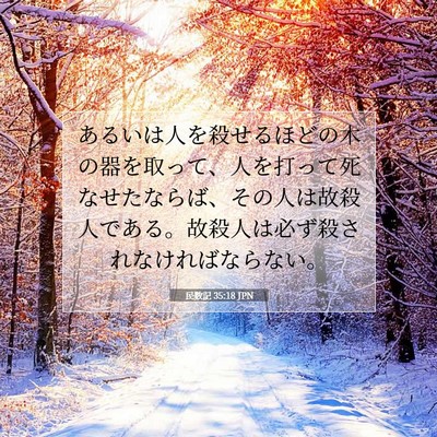 Picture 07 - 民数記 35:18 JPN - あるいは人を殺せるほどの木の器を - Bible Verse Picture