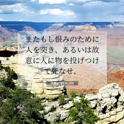 Picture 07 - 民数記 35:20 JPN - またもし恨みのために人を突き、あ - Bible Verse Picture
