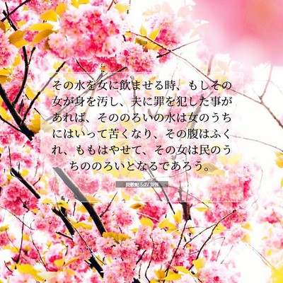 Picture 07 - 民数記 5:27 JPN - その水を女に飲ませる時、もしその - Bible Verse Picture