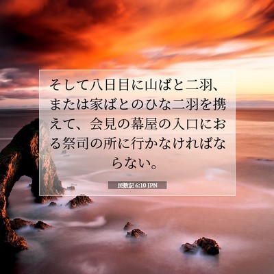 Picture 07 - 民数記 6:10 JPN - そして八日目に山ばと二羽、または - Bible Verse Picture