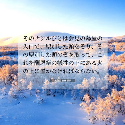 Picture 07 - 民数記 6:18 JPN - そのナジルびとは会見の幕屋の入口 - Bible Verse Picture