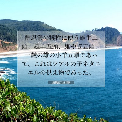 Picture 07 - 民数記 7:23 JPN - 酬恩祭の犠牲に使う雄牛二頭、雄羊 - Bible Verse Picture
