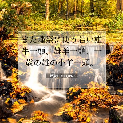Picture 07 - 民数記 7:33 JPN - また燔祭に使う若い雄牛一頭、雄羊 - Bible Verse Picture