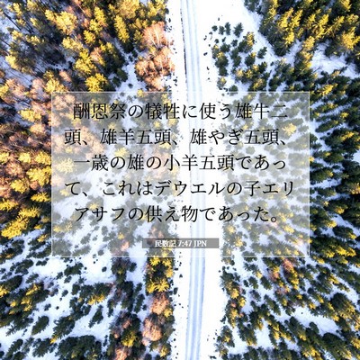 Picture 07 - 民数記 7:47 JPN - 酬恩祭の犠牲に使う雄牛二頭、雄羊 - Bible Verse Picture