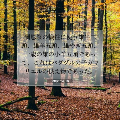 Picture 07 - 民数記 7:59 JPN - 酬恩祭の犠牲に使う雄牛二頭、雄羊 - Bible Verse Picture
