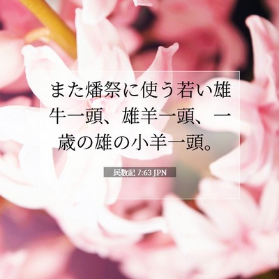 Picture 07 - 民数記 7:63 JPN - また燔祭に使う若い雄牛一頭、雄羊 - Bible Verse Picture