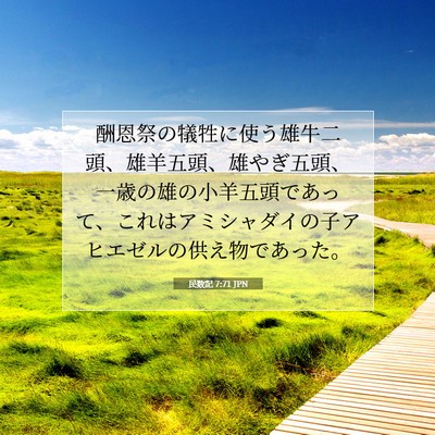 Picture 07 - 民数記 7:71 JPN - 酬恩祭の犠牲に使う雄牛二頭、雄羊 - Bible Verse Picture