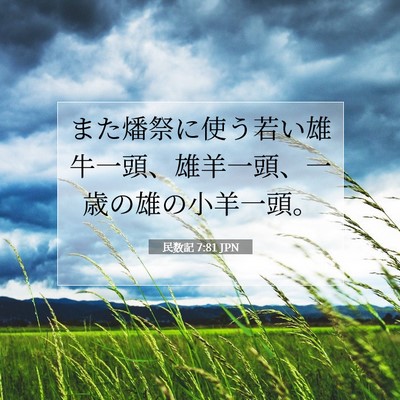Picture 07 - 民数記 7:81 JPN - また燔祭に使う若い雄牛一頭、雄羊 - Bible Verse Picture