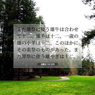 Picture 07 - 民数記 7:87 JPN - また燔祭に使う雄牛は合わせて十二 - Bible Verse Picture