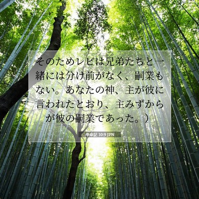 Picture 07 - 申命記 10:9 JPN - そのためレビは兄弟たちと一緒には - Bible Verse Picture
