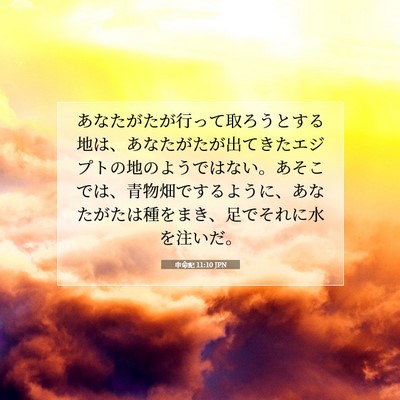 Picture 07 - 申命記 11:10 JPN - あなたがたが行って取ろうとする地 - Bible Verse Picture