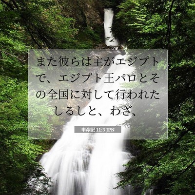 Picture 07 - 申命記 11:3 JPN - また彼らは主がエジプトで、エジプ - Bible Verse Picture