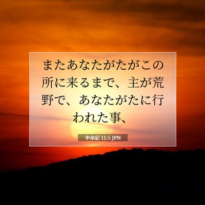 Picture 07 - 申命記 11:5 JPN - またあなたがたがこの所に来るまで - Bible Verse Picture