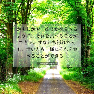 Picture 07 - 申命記 12:22 JPN - かもしかや、雄じかを食べるように - Bible Verse Picture