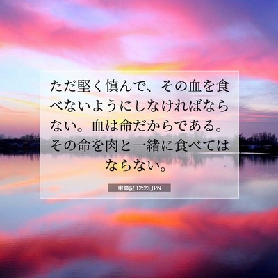 Picture 07 - 申命記 12:23 JPN - ただ堅く慎んで、その血を食べない - Bible Verse Picture
