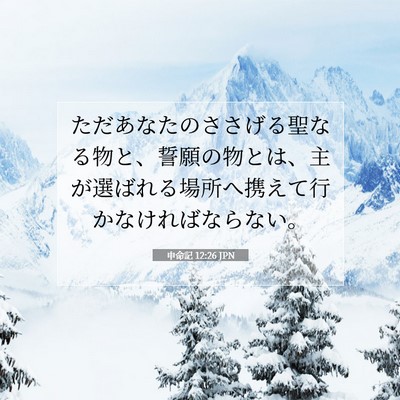 Picture 07 - 申命記 12:26 JPN - ただあなたのささげる聖なる物と、 - Bible Verse Picture
