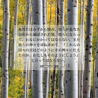 Picture 07 - 申命記 12:30 JPN - あなたはみずから慎み、彼らがあな - Bible Verse Picture