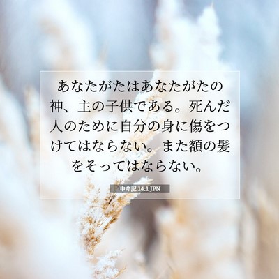 Picture 07 - 申命記 14:1 JPN - あなたがたはあなたがたの神、主の - Bible Verse Picture