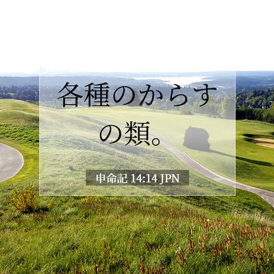 Picture 07 - 申命記 14:14 JPN - 各種のからすの類。 - Bible Verse Picture