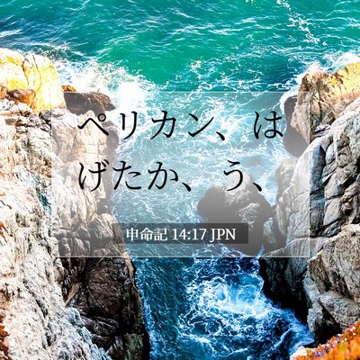 Picture 07 - 申命記 14:17 JPN - ペリカン、はげたか、う、 - Bible Verse Picture