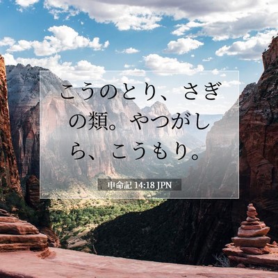 Picture 07 - 申命記 14:18 JPN - こうのとり、さぎの類。やつがしら - Bible Verse Picture