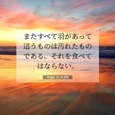 Picture 07 - 申命記 14:19 JPN - またすべて羽があって這うものは汚 - Bible Verse Picture