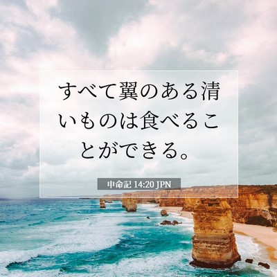 Picture 07 - 申命記 14:20 JPN - すべて翼のある清いものは食べるこ - Bible Verse Picture