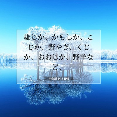 Picture 07 - 申命記 14:5 JPN - 雄じか、かもしか、こじか、野やぎ - Bible Verse Picture