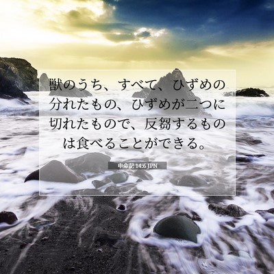 Picture 07 - 申命記 14:6 JPN - 獣のうち、すべて、ひずめの分れた - Bible Verse Picture