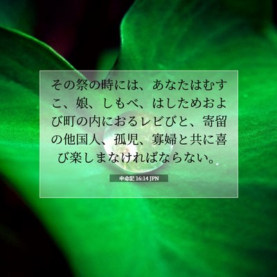 Picture 07 - 申命記 16:14 JPN - その祭の時には、あなたはむすこ、 - Bible Verse Picture