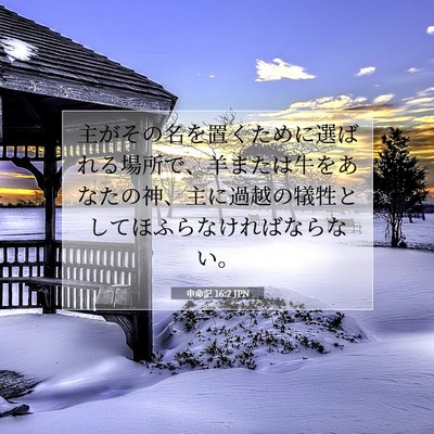 Picture 07 - 申命記 16:2 JPN - 主がその名を置くために選ばれる場 - Bible Verse Picture
