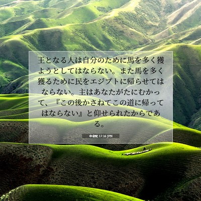 Picture 07 - 申命記 17:16 JPN - 王となる人は自分のために馬を多く - Bible Verse Picture