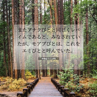 Picture 07 - 申命記 2:11 JPN - またアナクびとと同じくレパイムで - Bible Verse Picture