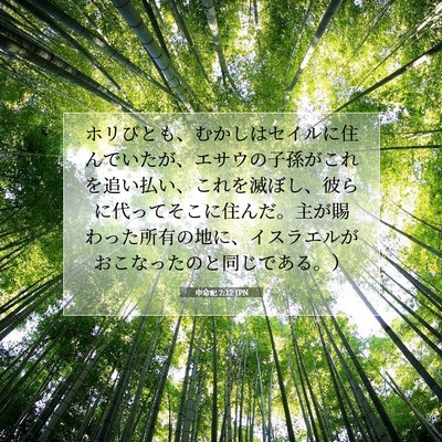 Picture 07 - 申命記 2:12 JPN - ホリびとも、むかしはセイルに住ん - Bible Verse Picture