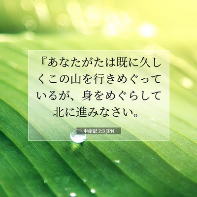 Picture 07 - 申命記 2:3 JPN - 『あなたがたは既に久しくこの山を - Bible Verse Picture